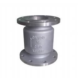 不銹鋼立式止回閥